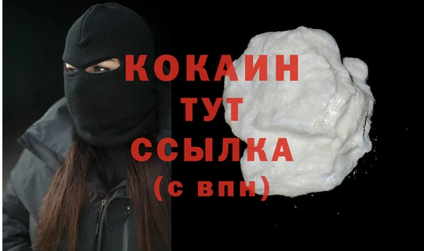 крисы Алзамай