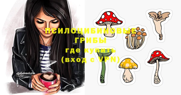 МДПВ Алексин