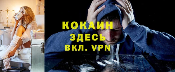 крисы Алзамай