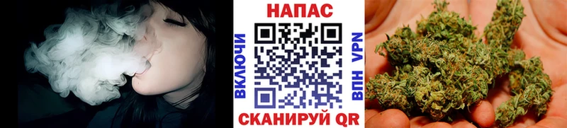 Шишки марихуана конопля  Купить где  Бакал 